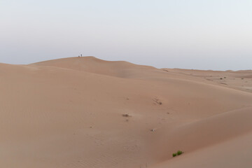 Coppia che cammina tra le dune del deserto al tramonto..