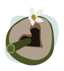 young coconut and straw.  young coconut drink in cartoon style