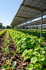 agricultural plants thriving under solar panels, subject on left side, clear copy space on right.