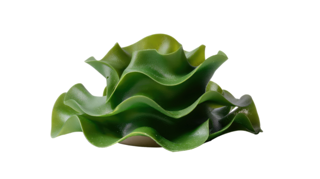 Green Layered Leaves: An artful composition of intricately layered green leaves, showcasing the beauty of organic forms and the vibrant life of botanical beauty. 