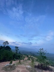 A peaceful morning sky with soft blue hues and gentle clouds above a green forest. Ideal for background use, graphic design, presentations, and travel content.