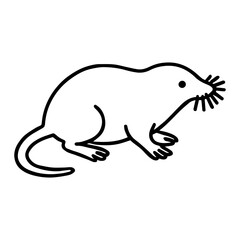 desman vector realistic line icon on white background
Vector line icon animal, wildlife