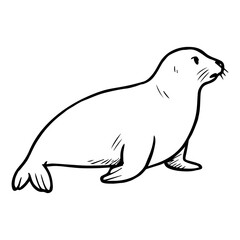 seal vector realistic line icon on white background
Vector line icon animal, wildlife