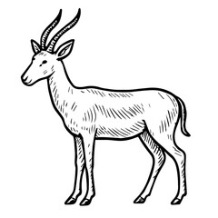Fototapeta premium antelope vector realistic line icon on white background Vector line icon animal, wildlife