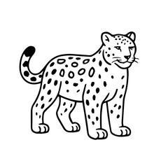 snow leopard vector realistic line icon on white background
Vector line icon animal, wildlife