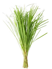 Serai Wangi Plant Whole Stalk White Background transparent Background