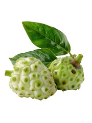 Tropical Herbal Fruit Mengkudu Noni Isolated White Background Transparent Background