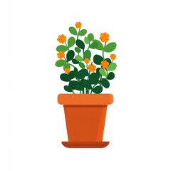 Obraz premium House flower flowers pot illustration.