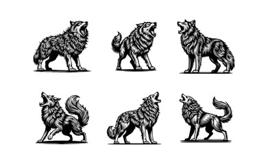 Wolf Howling engrave vector illustration black white