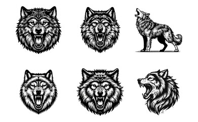 Obraz premium Wolf Howling engrave vector illustration black white