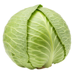 Obraz premium Fresh Green Cabbage – Whole Vegetable Isolated on transparent background PNG