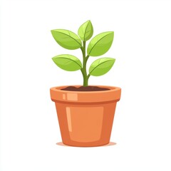 Obraz premium Small Plant with Green Leaves in a Terracotta Flowerpot on White Background