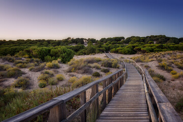 Camino entre las dunas, Punta Umbría.