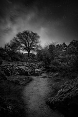 Paisaje Nocturno Blanco y Negro
