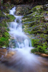 Cascada PN Montes de Málaga