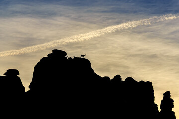 Contraluz cabra torcal de Antequera
