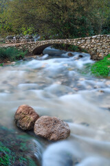 Nacimiento del Genal, Villanueva del Rosario, Málaga.