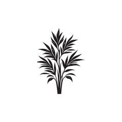 Fototapeta premium grass silhouette isolated on white background