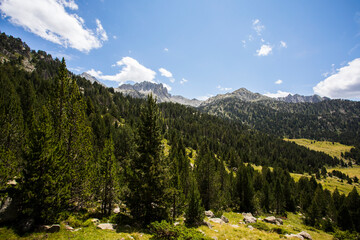 Summer landscape in Vall de Boi in Aiguestortes and Sant Maurici National Park, Spain