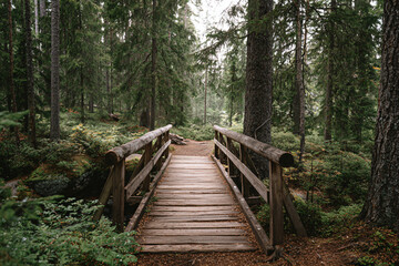 Fototapeta premium a wooden bridge in a forest with trees