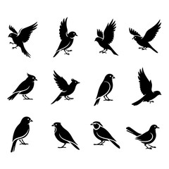 Collection of birds illustrated in a charming, rustic, and shabby chic aesthetic