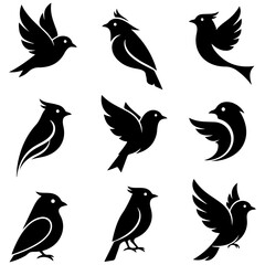 Set of artistically rendered bird vectors with a stylish, well editable contemporary aesthetic