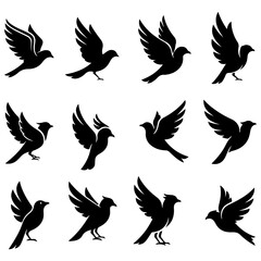 A diverse set of high quality editable illustrated birds, from songbirds to swans