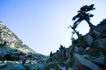 Young hiker woman in Vall de Boi, Aiguestortes and Sant Maurici National Park, Spain
