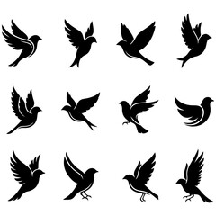 A beautiful and modern set of decorative, high quality editable bird elements