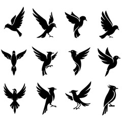 An elegant set of various bird species in a high quality editable minimalist line art style