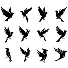Fototapeta premium A beautiful, well editable collection of stylized birds for nature-themed graphic design