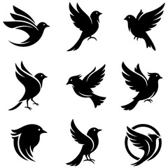 A stylish collection of beautiful and modern bird vector art, a well editable set