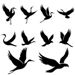 A premium set of elegant bird art, a high quality editable collection for luxury projects