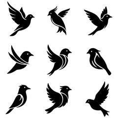 A beautiful, high quality editable collection of stylized songbird illustrations for projects