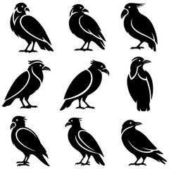 Set of elegant bird vector graphics, a high quality editable set for premium packaging