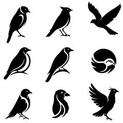 Set of premium, modern, and abstract graphics, a high quality editable bird collection