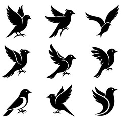 A high quality editable collection of stylish bird illustrations for premium products