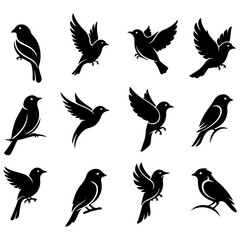 A premium collection of artistic bird designs in a high quality editable format