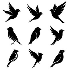A beautiful collection of abstract bird art, a high quality editable design for wall decor