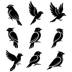 Set of premium abstract vector bird designs, a well editable and flowing collection