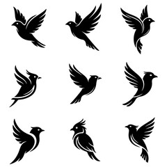 A curated set of high quality editable abstract and artistic bird vectors