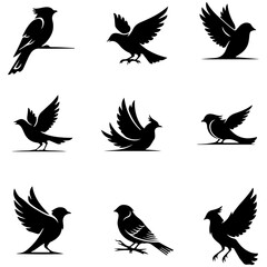 Well editable collection of beautifully illustrated elegant bird designs for art prints