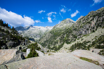Summer landscape in Vall de Boi in Aiguestortes and Sant Maurici National Park, Spain
