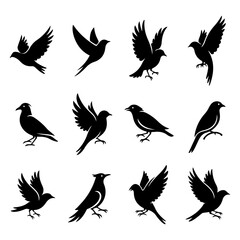 Set of premium vector birds featuring high quality editable and modern styling