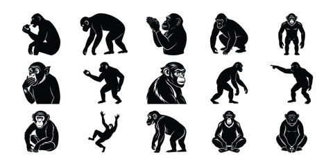 Monkey Silhouette Set – Various Poses of Chimpanzees Isolated on White Background