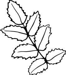 leaves