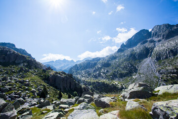 Summer landscape in Vall de Boi in Aiguestortes and Sant Maurici National Park, Spain