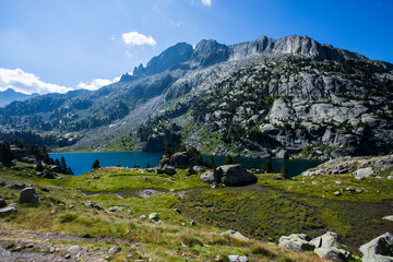 Summer landscape in Vall de Boi in Aiguestortes and Sant Maurici National Park, Spain