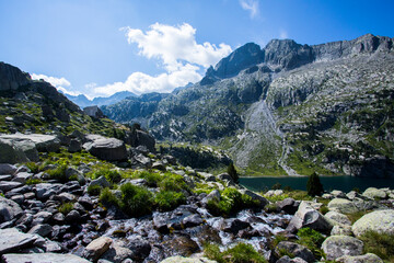 Summer landscape in Vall de Boi in Aiguestortes and Sant Maurici National Park, Spain