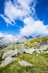 Summer landscape in Vall de Boi in Aiguestortes and Sant Maurici National Park, Spain